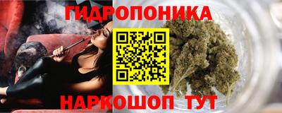 молекула духа Славгород